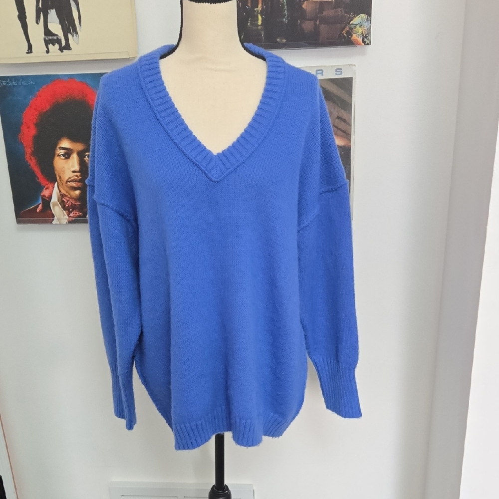 wild fable Royal Blue V-Neck Women's Sweater